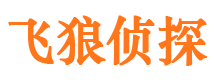 长白市侦探